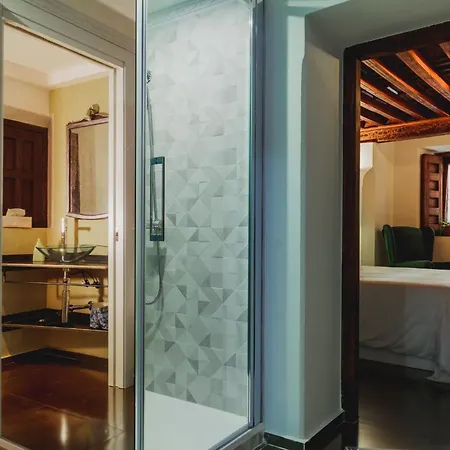 Гостьовий будинок Casa Palacio Rincon De La Catedral