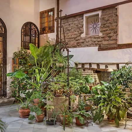 Πανσιόν Casa Palacio Rincon De La Catedral 4*